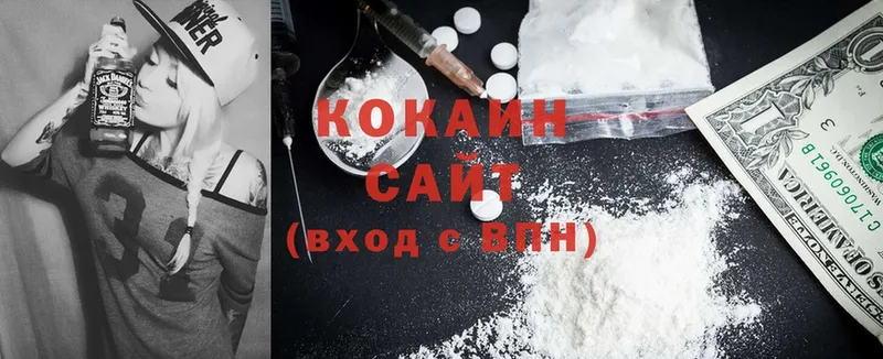 сколько стоит  Сыктывкар  COCAIN Fish Scale 