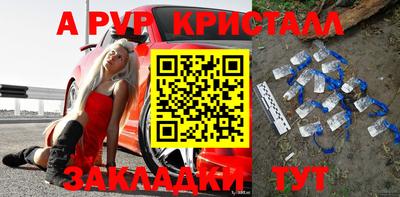 стаф Берёзовский