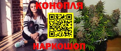 стаф Берёзовский