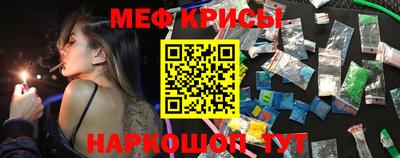 стаф Берёзовский