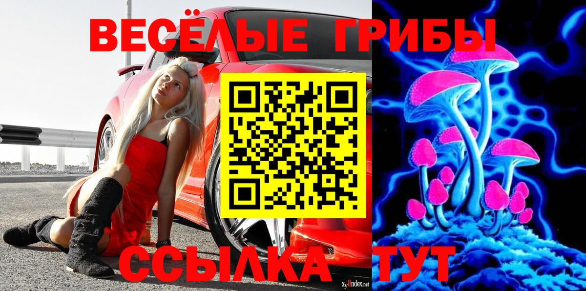 Псилоцибиновые грибы MAGIC MUSHROOMS Сыктывкар