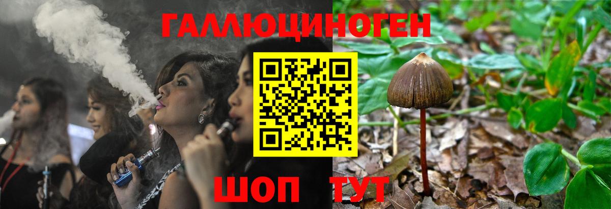 Галлюциногенные грибы ЛСД  Сыктывкар  Псилоцибиновые грибы мицелий 